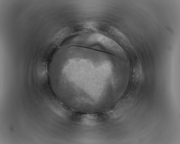 X0000112040320200908311241