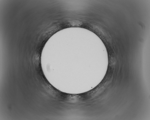 X0000112040321200908311241