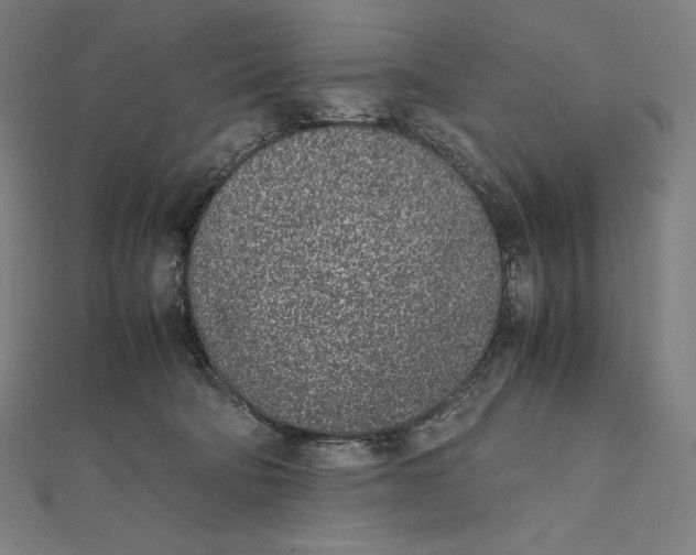 X0000112040322200908311241