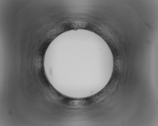 X0000112040323200908311241