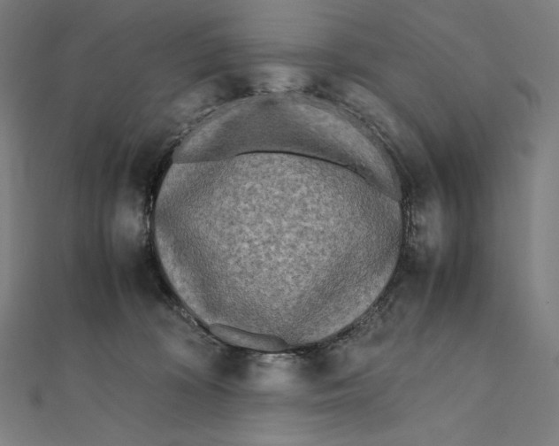 X0000112040324200908311241