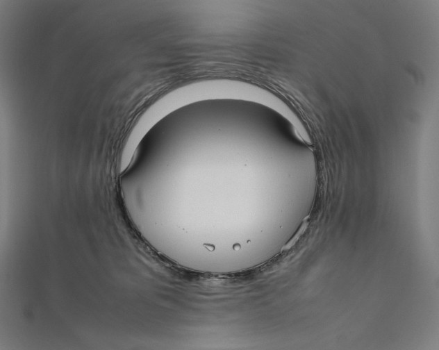 X0000112040325200908311241