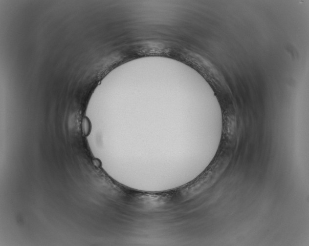 X0000112040326200908311241