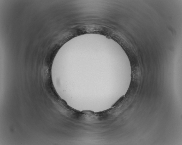 X0000112040327200908311241