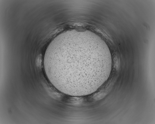 X0000112040328200908311241