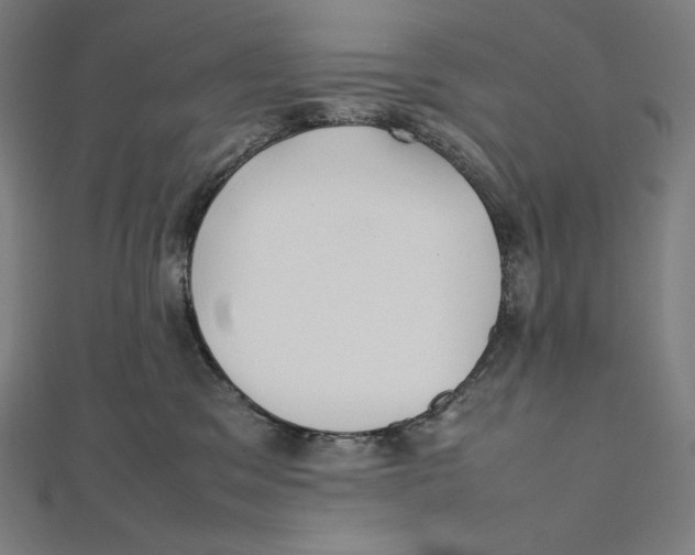X0000112040329200908311241