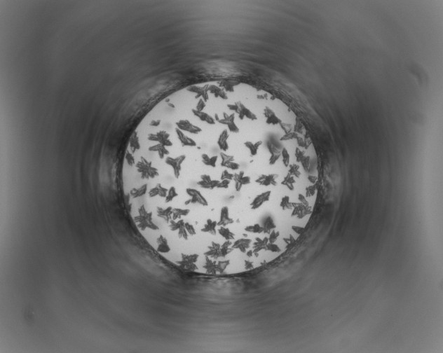 X0000112040330200908311241
