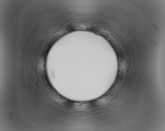X0000112040331200908311241