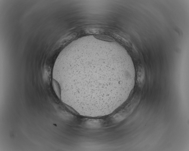 X0000112040332200908311241