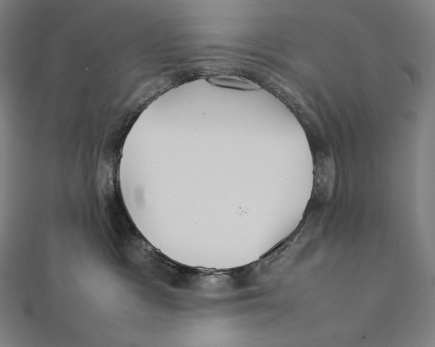 X0000112040333200908311241