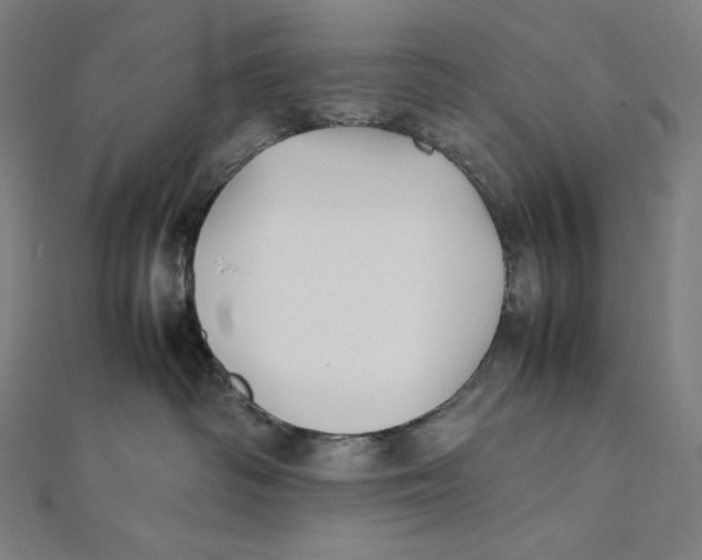 X0000112040334200908311241