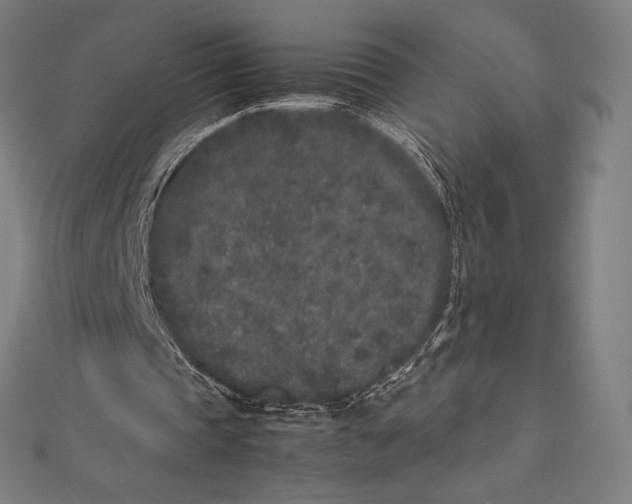 X0000112040337200908311240