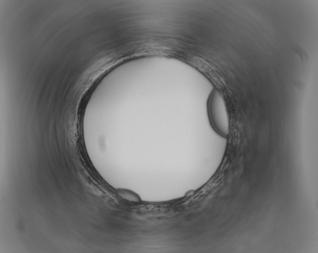 X0000112040338200908311240