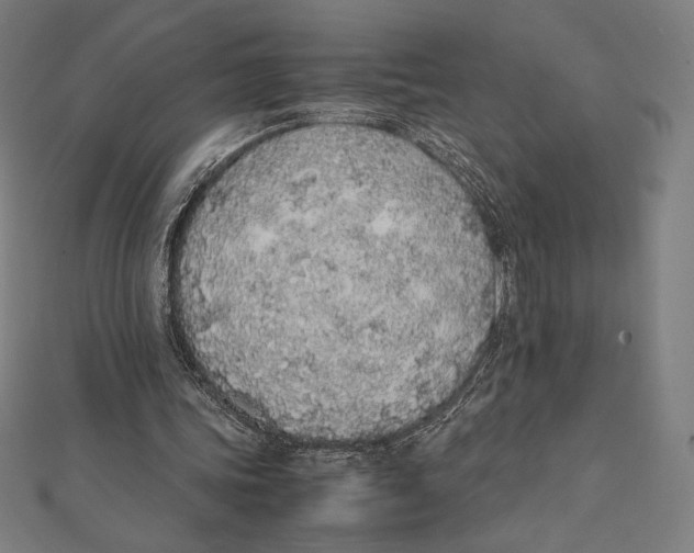X0000112040339200908311240