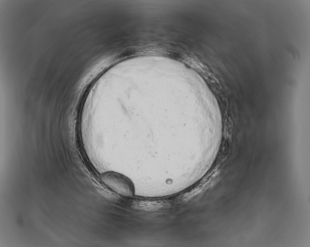 X0000112040341200908311240