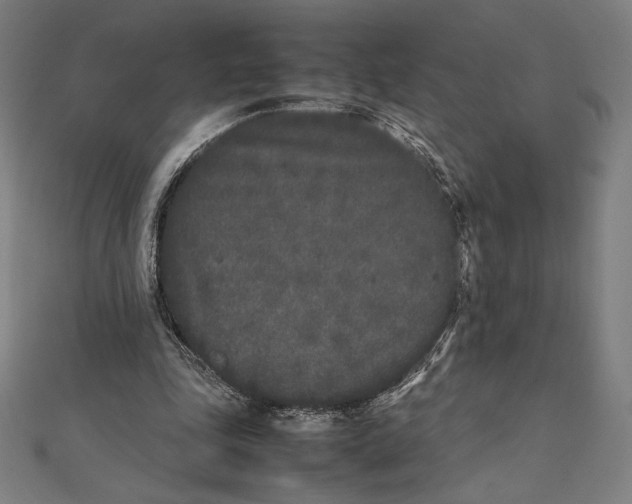 X0000112040343200908311240