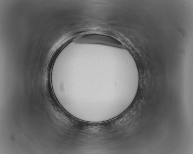 X0000112040344200908311240