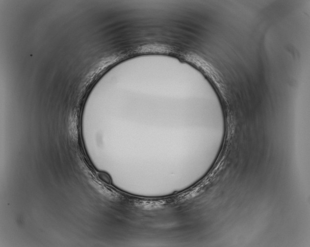 X0000112040345200908311240