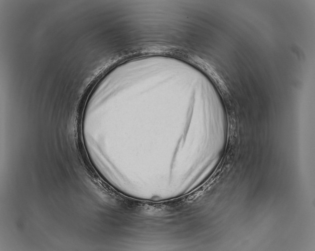 X0000112040346200908311240