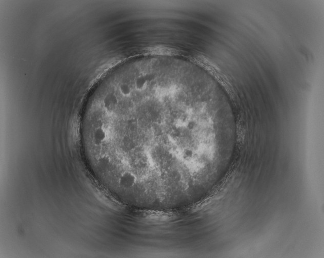 X0000112040347200908311240