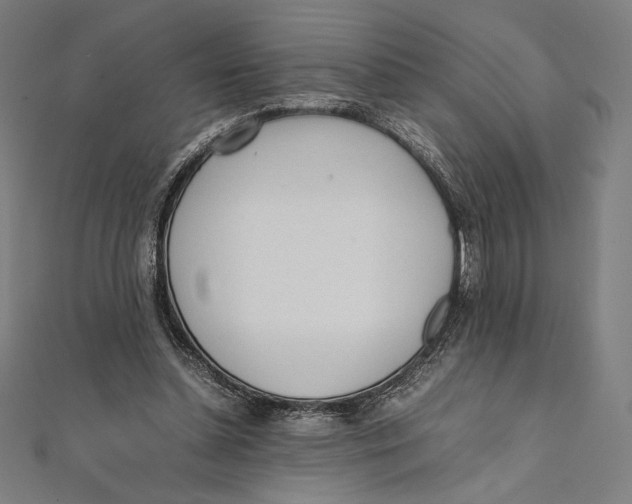 X0000112040348200908311240