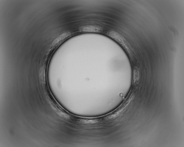 X0000112040349200908311240