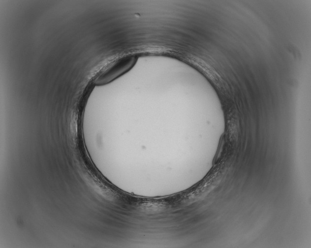 X0000112040350200908311240
