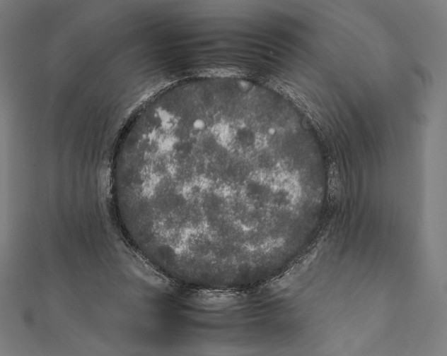 X0000112040351200908311240