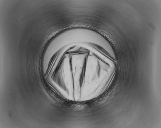 X0000112040352200908311240