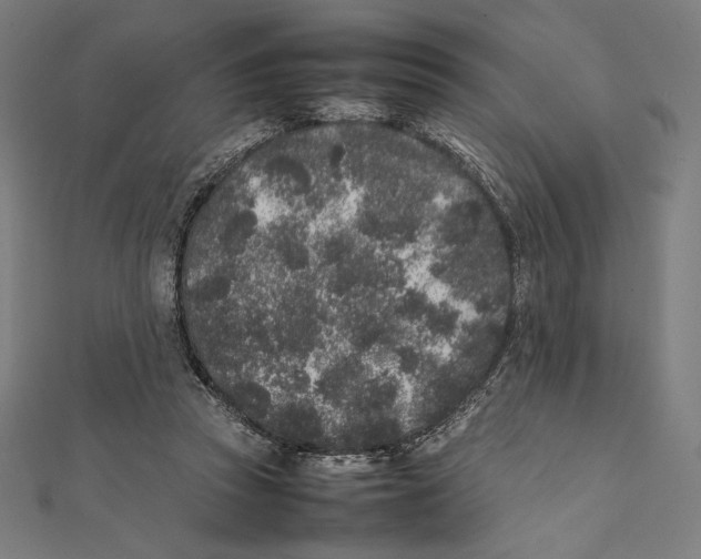 X0000112040353200908311240