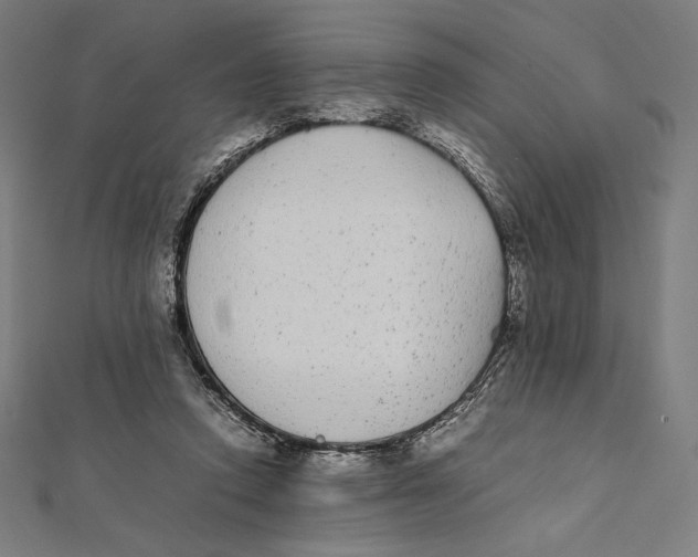 X0000112040354200908311240