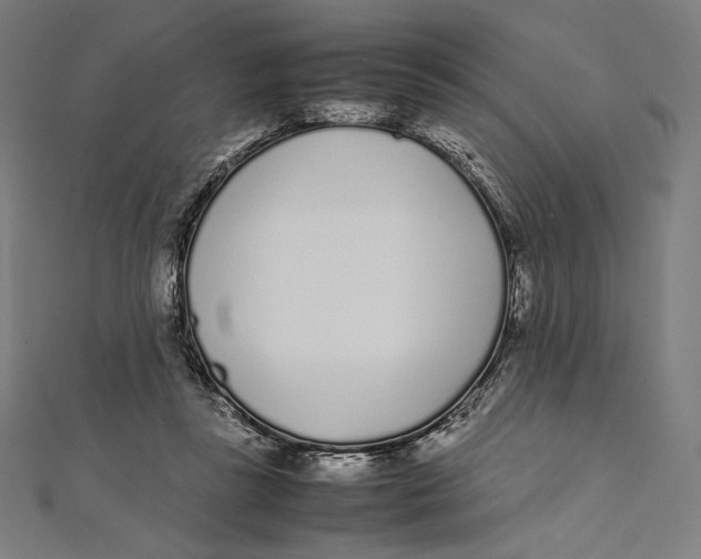 X0000112040355200908311240