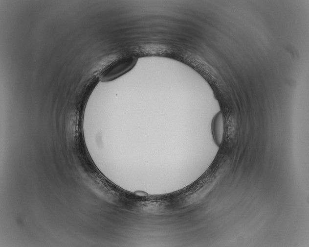 X0000112040356200908311240