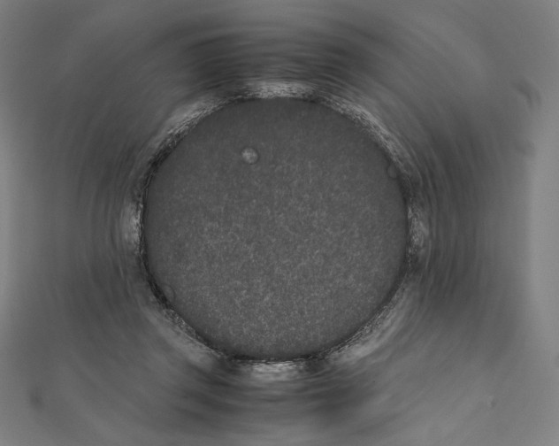 X0000112040357200908311240
