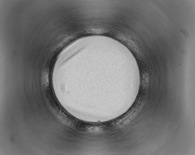 X0000112040358200908311240