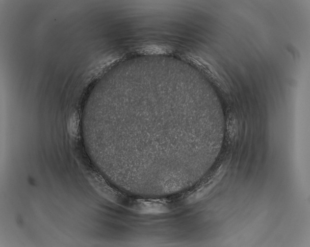 X0000112040359200908311240