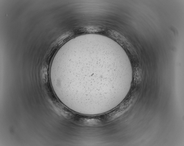 X0000112040360200908311240
