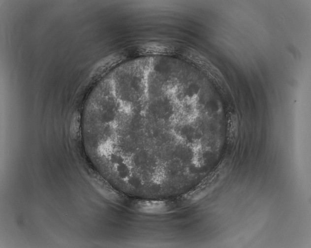 X0000112040361200908311240