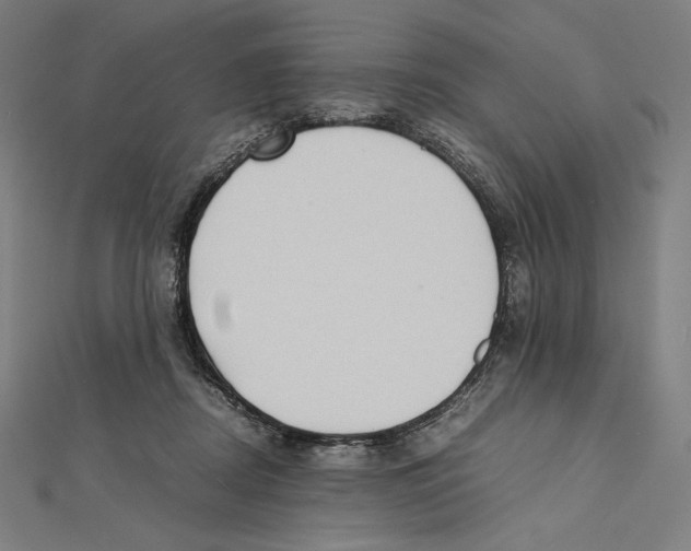X0000112040362200908311241