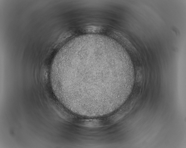 X0000112040363200908311241