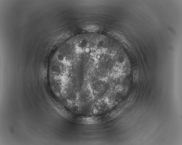 X0000112040365200908311241