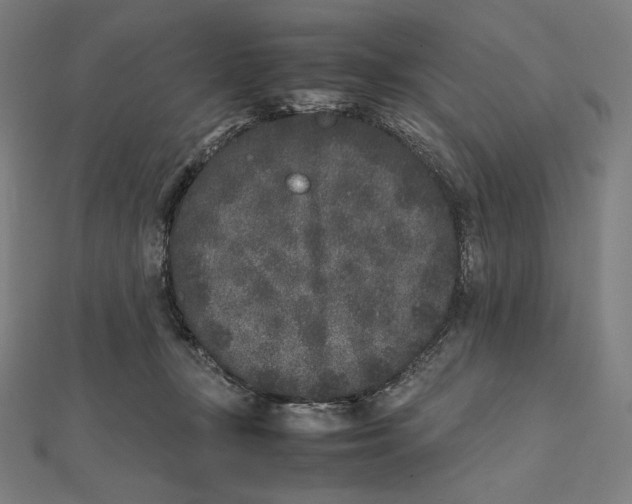 X0000112040367200908311241