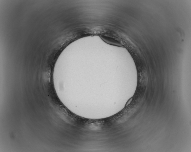 X0000112040368200908311241