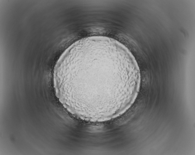 X0000112040369200908311241