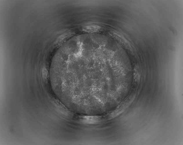 X0000112040371200908311241