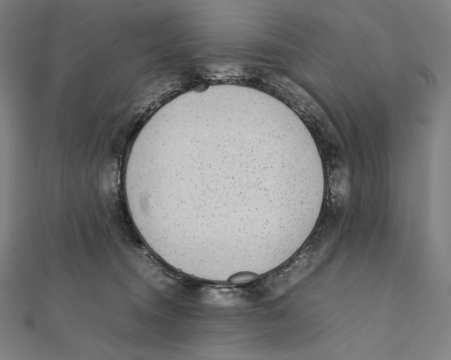 X0000112040372200908311241
