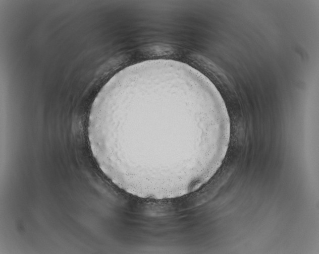 X0000112040373200908311241