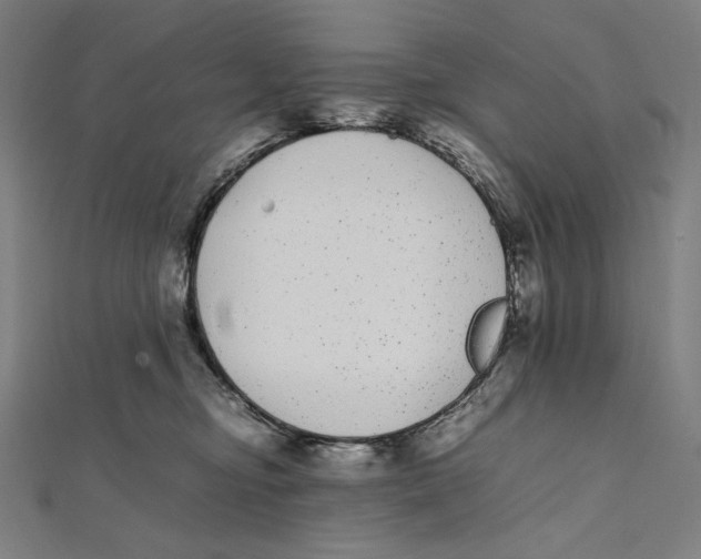X0000112040374200908311241