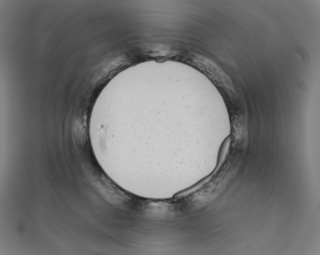X0000112040376200908311241