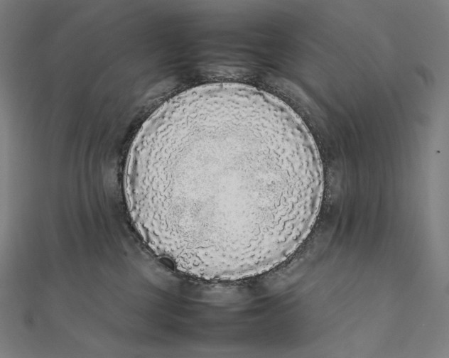X0000112040377200908311241